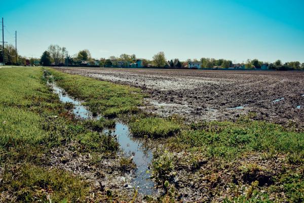 Rain has caused flooding in a field resulting in excess water running into ditches, carrying nutrients with it.