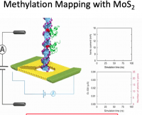 Methylation Mapping with MoS2