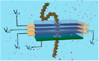 Threading DNA molecules.