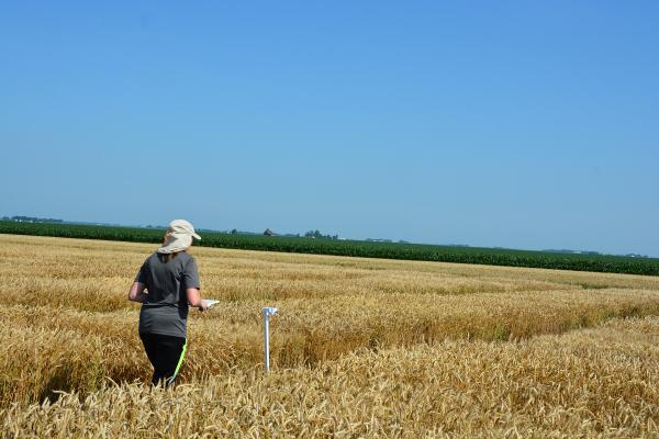 The AgBots have been field-tested to ensure performance for their intended use. Testing will continue this summer.