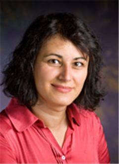 Olgica Milenkovic