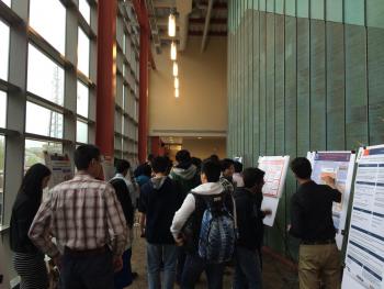 Students observing posters at the Spring 2014 PURE symposium.
