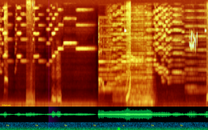 A screenshot of the timeliner. The orange lines across the top show an orchestral recording. A robin chirping, a bell dinging, and a video-game sound effect cause unusual shapes within the spectrogram.