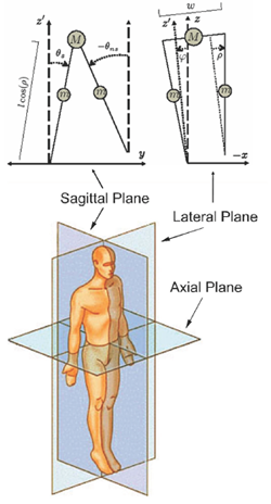 Illinois researchers have developed robots that walk more like people by decomposing motion in humans' sagittal plane. 