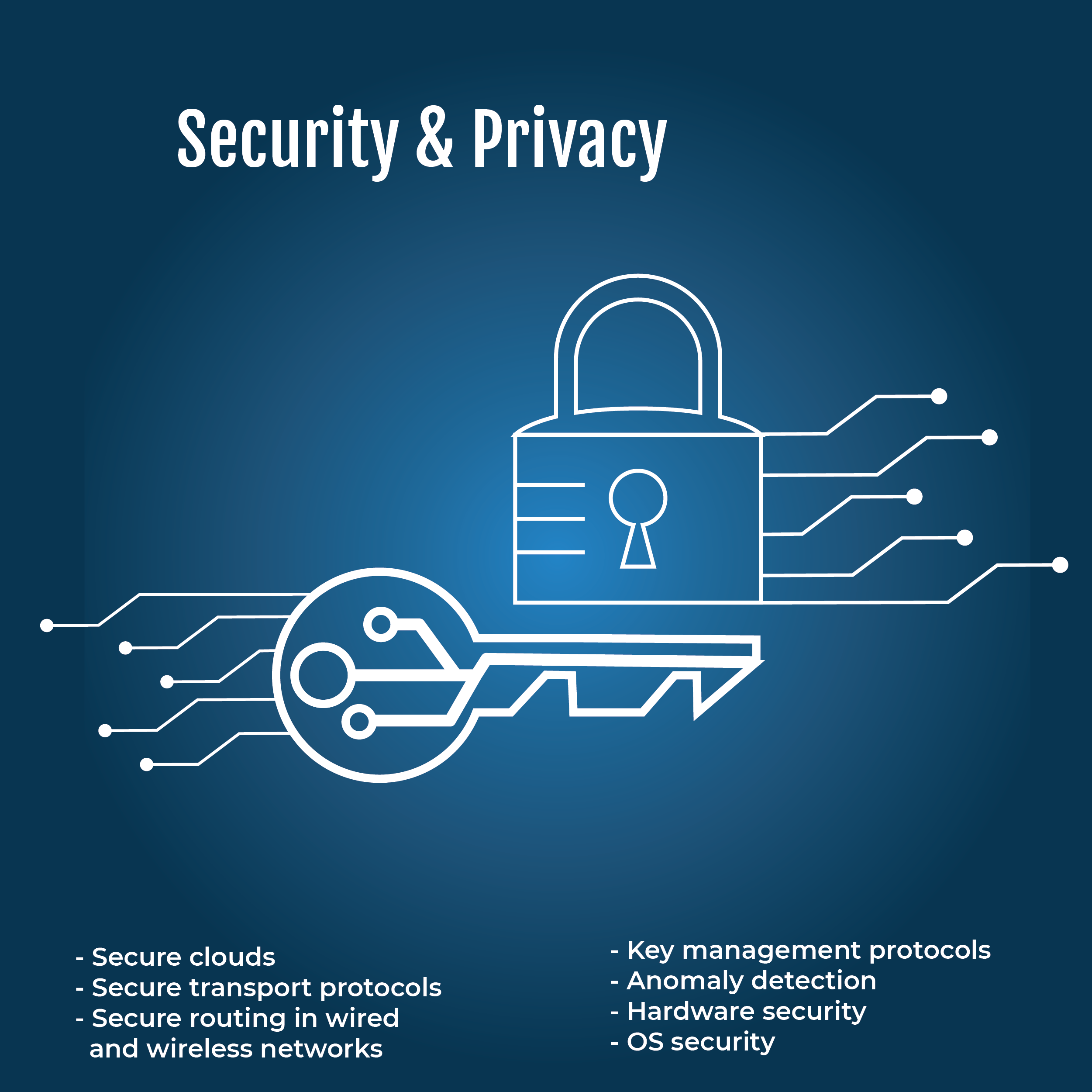 Security & Privacy image