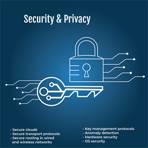 Security & Privacy image