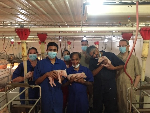Aniket Shirke holding a piglet alongside other researchers.