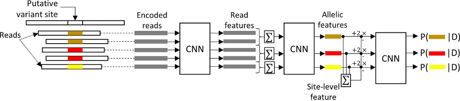 Hybrid variant caller architecture, developed by researchers at the University of Illinois Urbana-Champaign and Mayo Clinic.